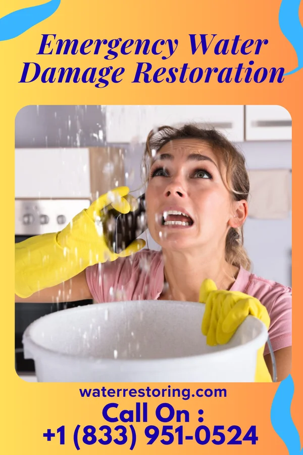 Emergency Water Damage Restoration in Adams, WI