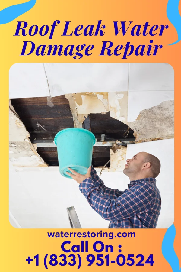 Roof Leak Water Damage Repair in Adams, WI